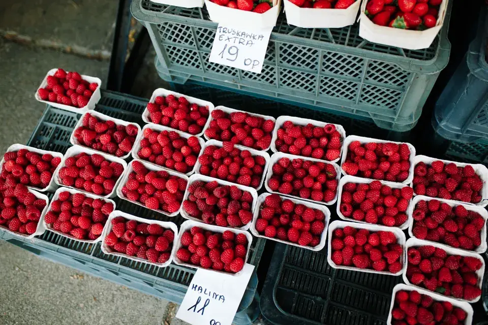 Preserving and Enjoying Milford's Local Treasures in Milford